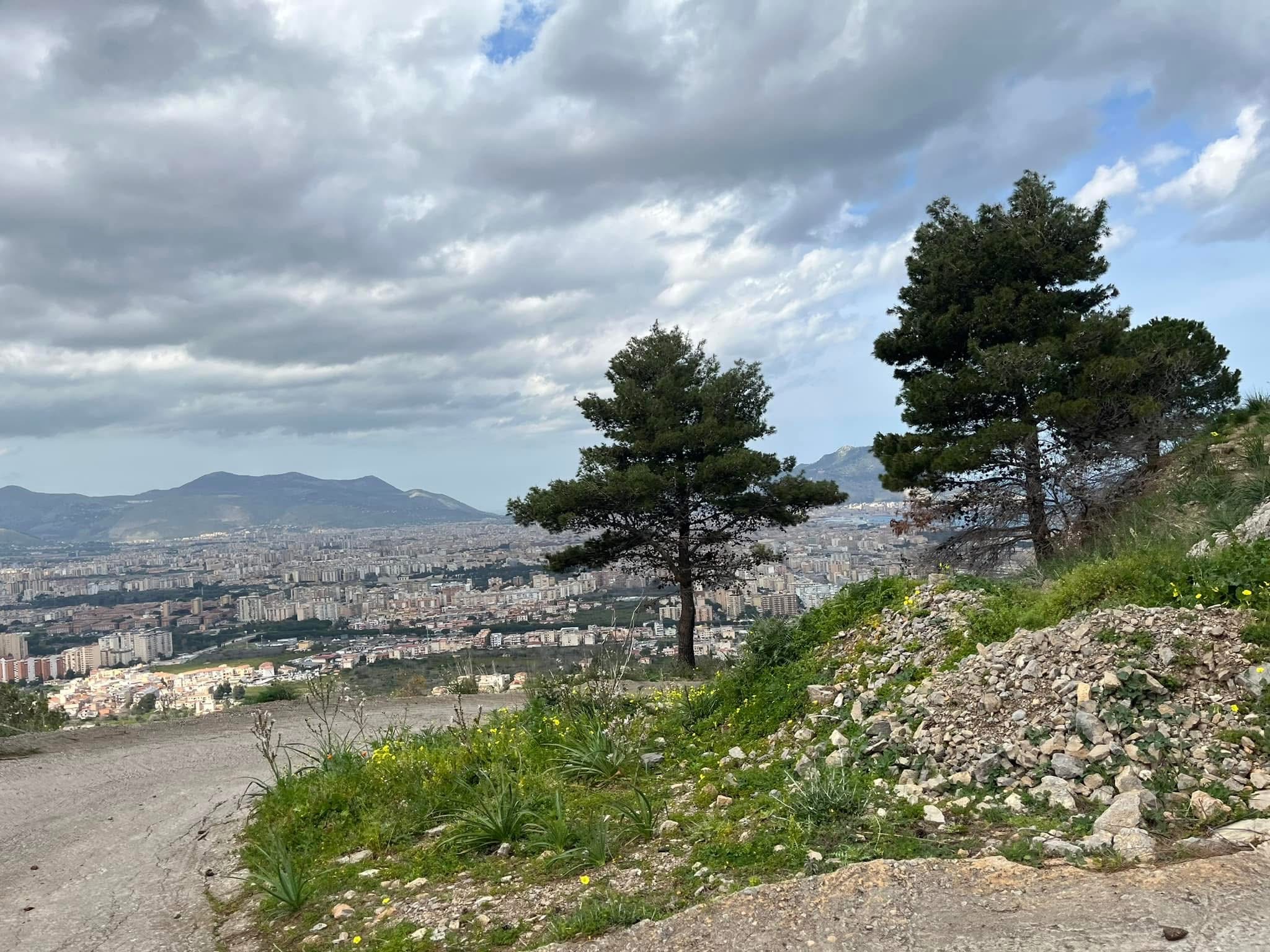 ristorante pizzeria con vista panoramica su Palermo